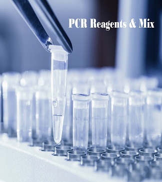 PCR Reagents and Mixtures