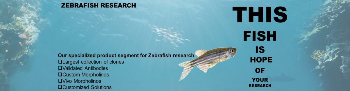 Zebrafish banner