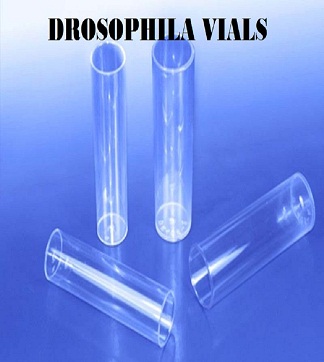 Drosophila Vials & Bottles