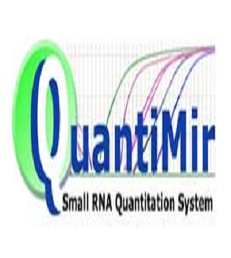 Quantimir Kit- Small RNA Quantitation System